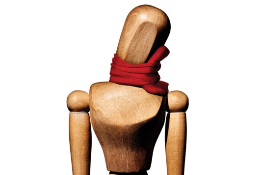 Trtl pillow on a wooden mannequin.
